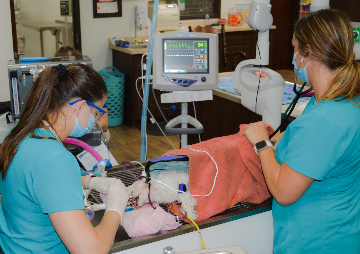 Technicians Performing Dental Cleaning