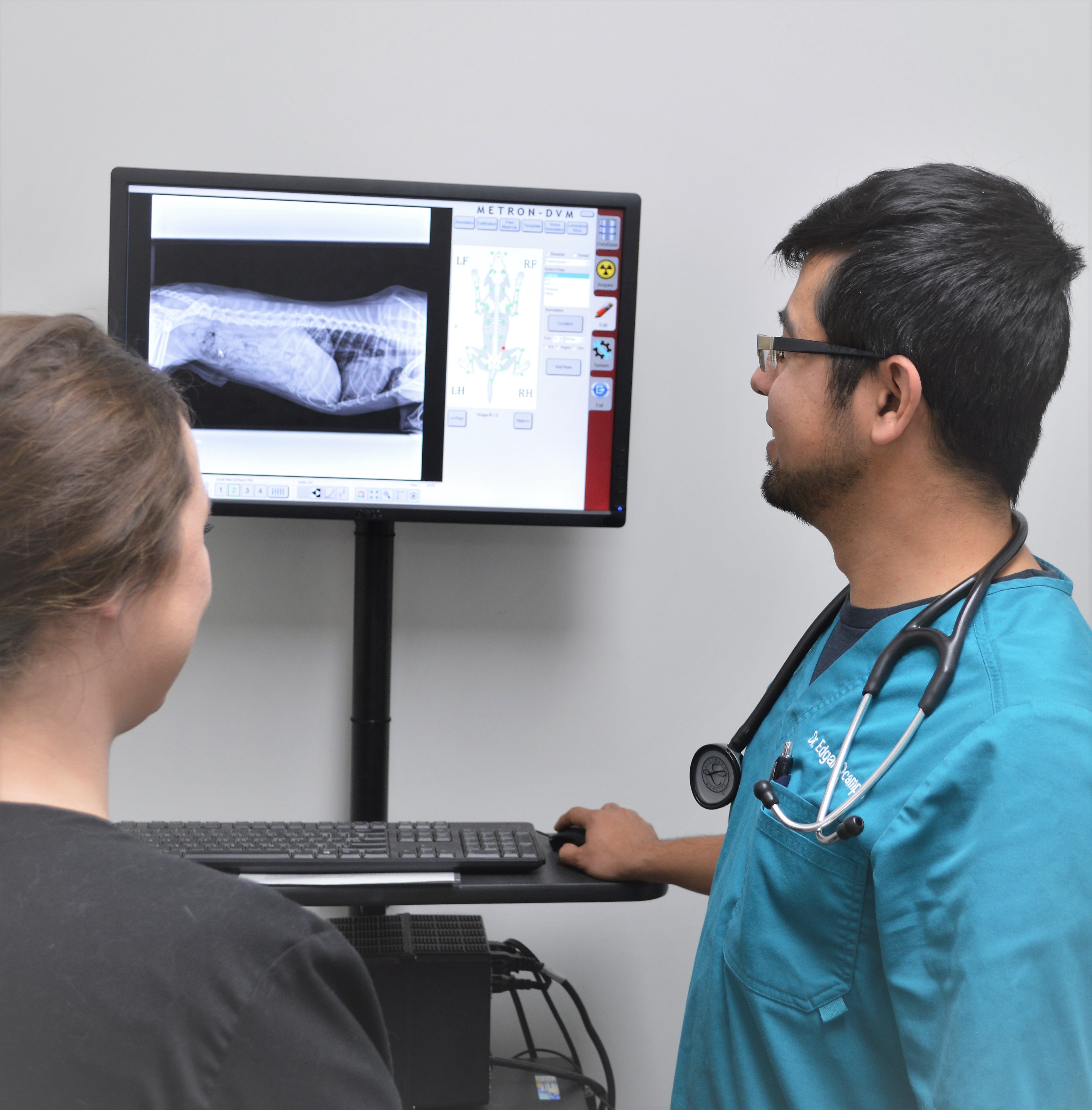 veterinarian looking at x-ray